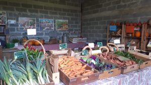Marché des producteurs bio et locaux de Belle Garde