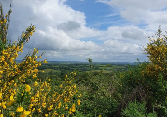 Circuit le village Vassé et la forêt