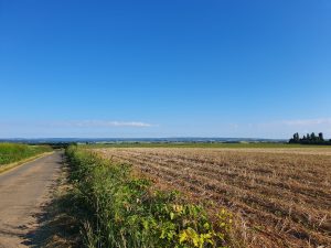 Boucle intercommunale en Charnie et Champagne
