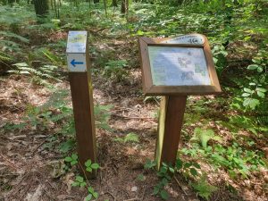 Boucle intercommunale en Charnie et Champagne