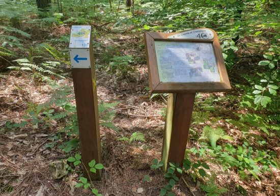 Boucle intercommunale en Charnie et Champagne