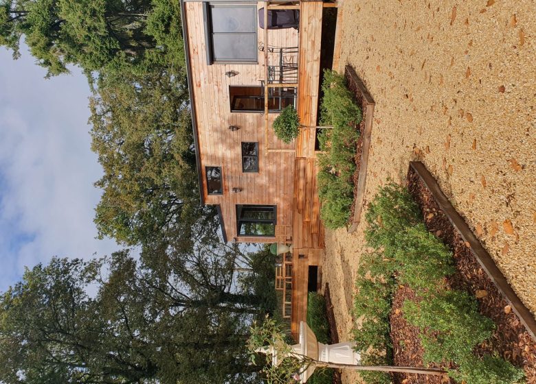 Le P’Tiny d’Aliénor