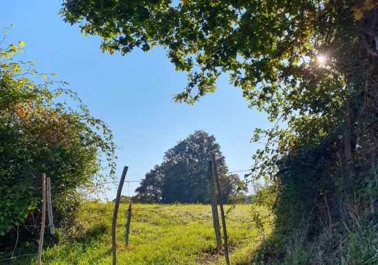 Balade du Chemin des Dames