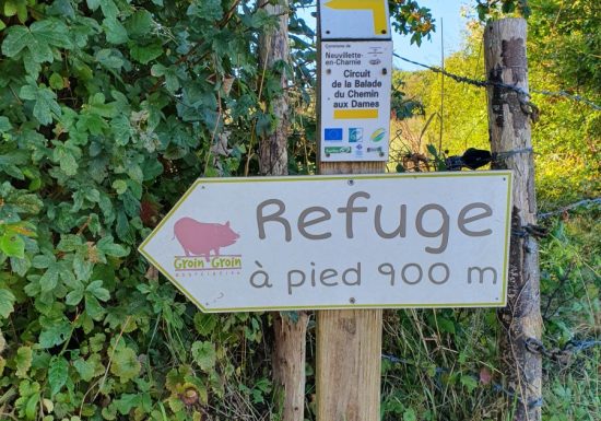 Balade du Chemin des Dames