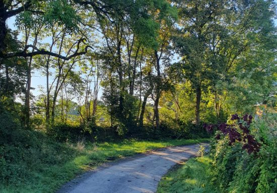 Balade du Chemin des Dames