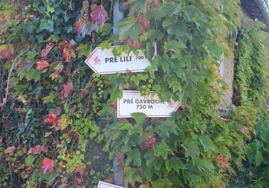 Variante du chemin dit du “Bardeau à la Loge”