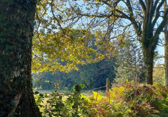 Variante du chemin dit du “Bardeau à la Loge”