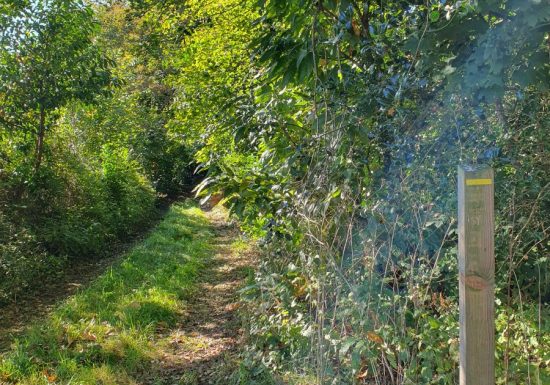 Variante du chemin dit du “Bardeau à la Loge”