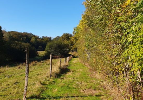 Liaison forêts de la Charnie