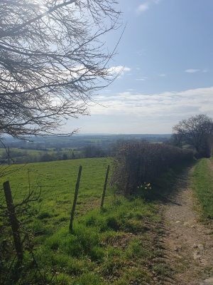 Circuit bleu – Le Grez