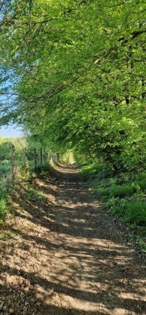 Manoirs et belles demeures