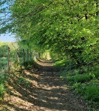 Manoirs et belles demeures