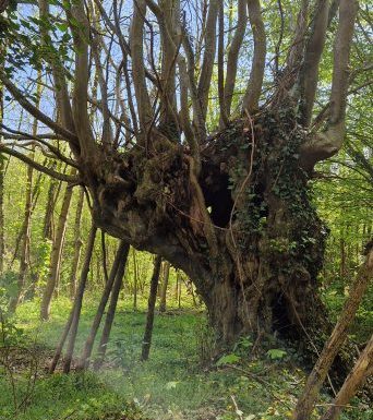Manoirs et belles demeures