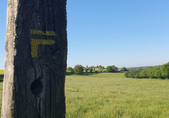 Circuit bocage et champagne