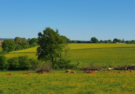 Circuit bocage et champagne