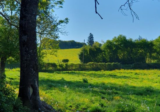 Circuit bocage et champagne