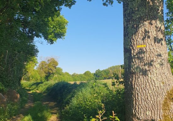 Circuit bocage et champagne