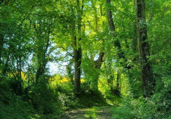 Circuit bocage et champagne