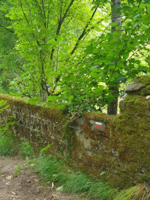 Circuit le village Vassé et la forêt