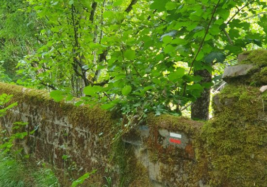 Circuit le village Vassé et la forêt