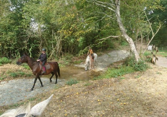 CIRCUIT MAINE COEUR DE SARTHE A CHEVAL 1