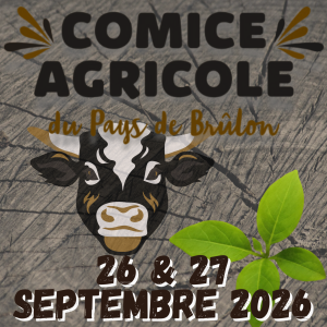 Le Comice Agricole de Brûlon reçoit l’OPEN INTERNATIONNAL de Sculptures à la Tronçonneuse !