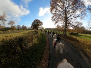 LA CAVALERIE DES MESANGERES