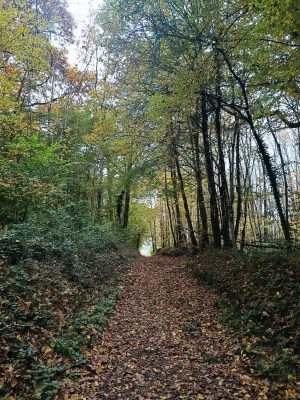 Sentier des oiseaux