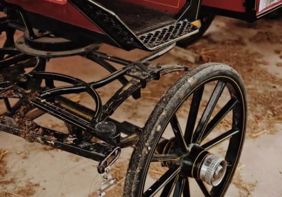 Savon au lait de jument La perle d’or