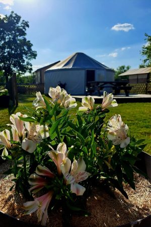 Yourte au camping du domaine du Houssay