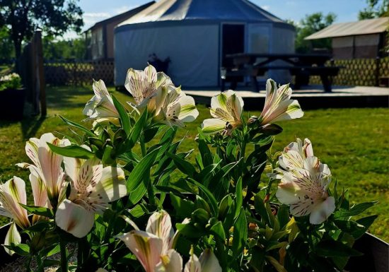 Yourte au camping du domaine du Houssay