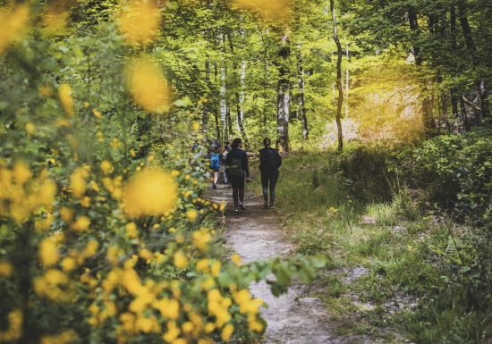 Variante du chemin dit du “Bardeau à la Loge”