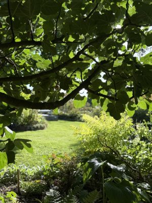 Visite du jardin de L’Ecole des Garçons