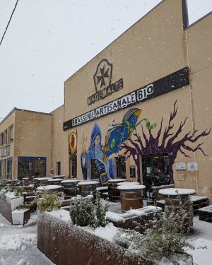 BRASSERIE MAGE MALTE