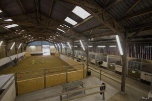 CENTRE EQUESTRE VALLON JUIGNE