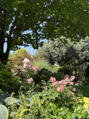 Visite du jardin de L’Ecole des Garçons