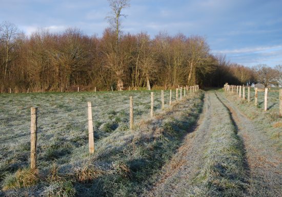 Sentier des oiseaux