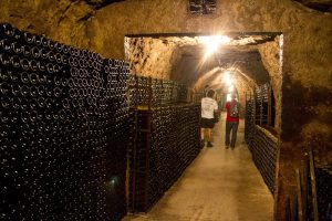 Vins Gigou