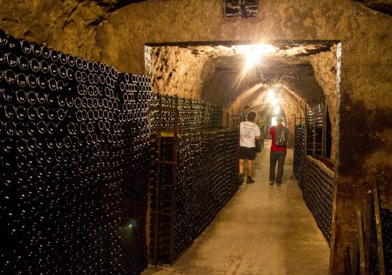Vins Gigou