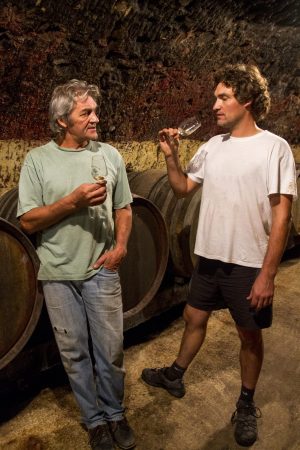 Vins Gigou