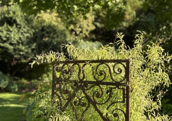 Visite du jardin de L’Ecole des Garçons