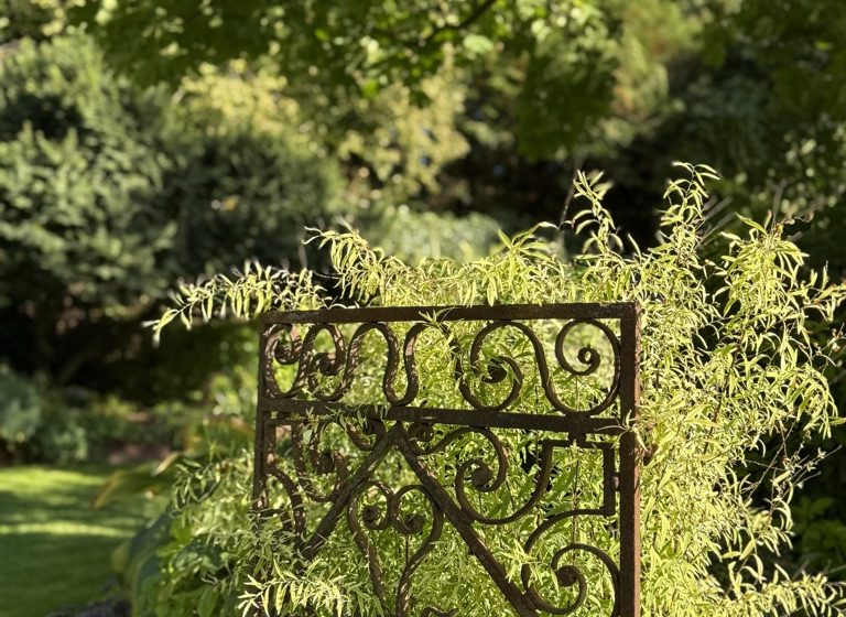 Visite du jardin de L’Ecole des Garçons