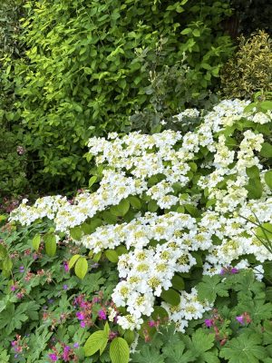 Visite du jardin de L’Ecole des Garçons