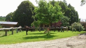 Lodge à la ferme équestre des Bleuets