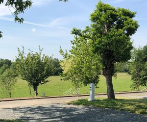 Aire camping-car park de Luché Pringé