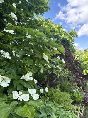 Visite du jardin de L’Ecole des Garçons