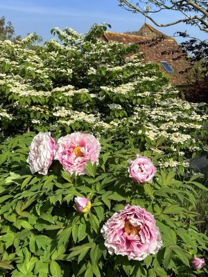 Visite du jardin de L’Ecole des Garçons