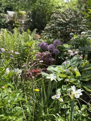 Visite du jardin de L’Ecole des Garçons