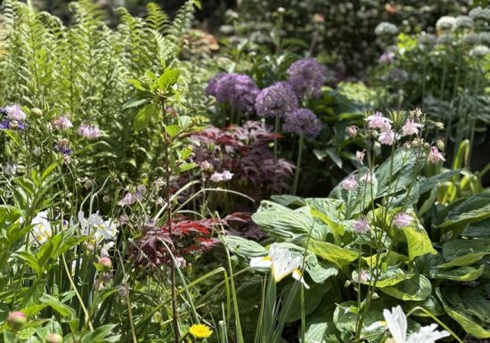Visite du jardin de L’Ecole des Garçons