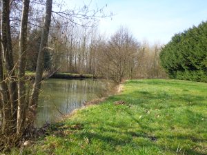 PECHER EN BORDURE DE LA BRAYE